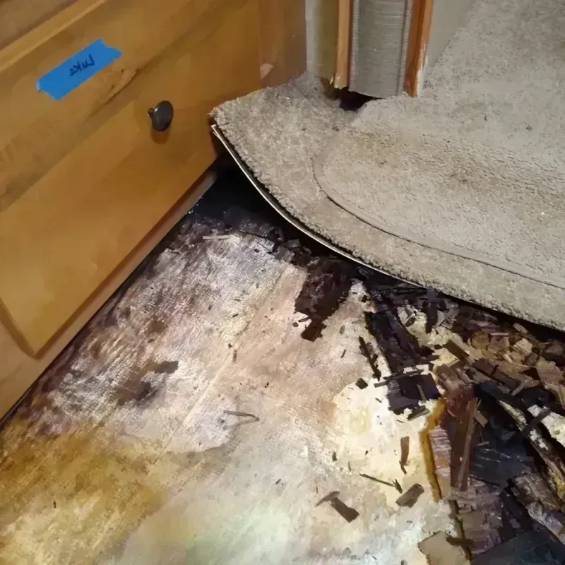 Wood Floor Water Damage in New Prague, MN